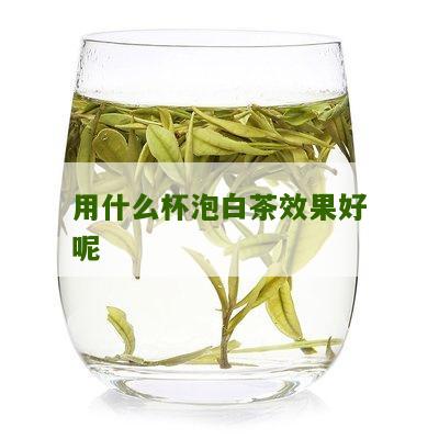 用什么杯泡白茶效果好呢