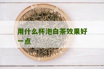 用什么杯泡白茶效果好一点