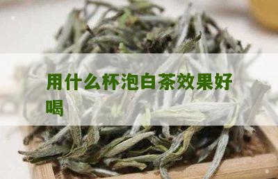 用什么杯泡白茶效果好喝