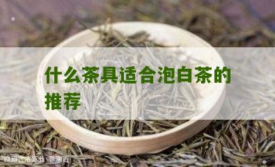 什么茶具适合泡白茶的推荐