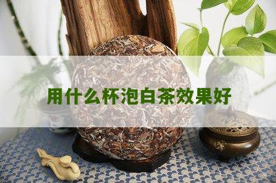 用什么杯泡白茶效果好