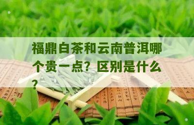 福鼎白茶和云南普洱哪个贵一点？区别是什么？