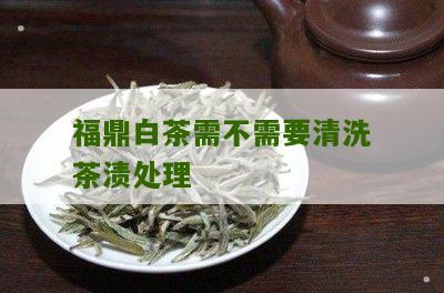 福鼎白茶需不需要清洗茶渍处理