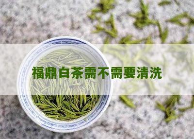 福鼎白茶需不需要清洗