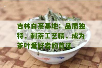 吉林白茶基地：品质独特，制茶工艺精，成为茶叶爱好者的首选