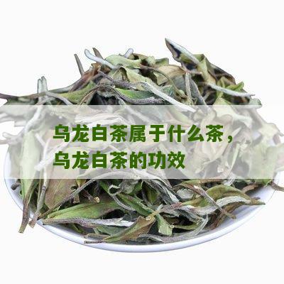 乌龙白茶属于什么茶，乌龙白茶的功效