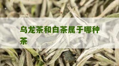 乌龙茶和白茶属于哪种茶