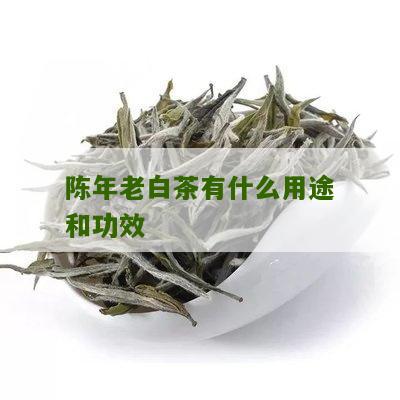 陈年老白茶有什么用途和功效