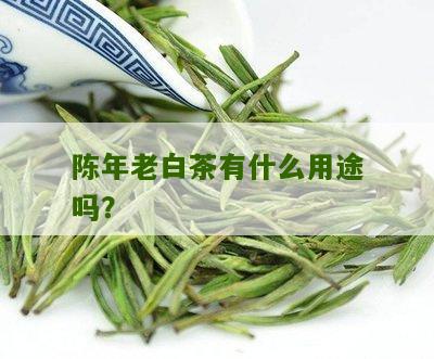 陈年老白茶有什么用途吗？