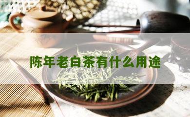 陈年老白茶有什么用途