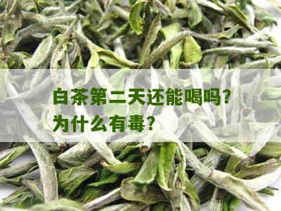 白茶第二天还能喝吗？为什么有毒？