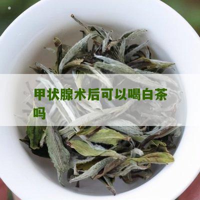 甲状腺术后可以喝白茶吗