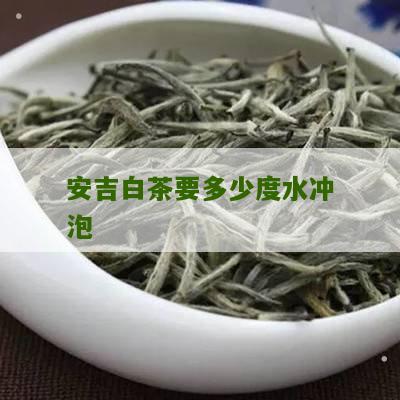 安吉白茶要多少度水冲泡