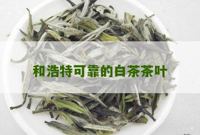 和浩特可靠的白茶茶叶