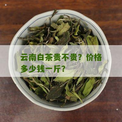 云南白茶贵不贵？价格多少钱一斤？