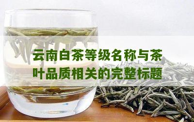 云南白茶等级名称与茶叶品质相关的完整标题