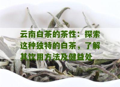 云南白茶的茶性：探索这种独特的白茶，了解其饮用方法及健益处