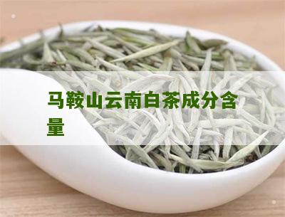 马鞍山云南白茶成分含量