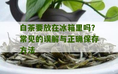 白茶要放在冰箱里吗？常见的误解与正确保存方法