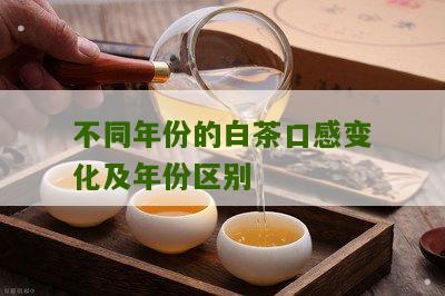 不同年份的白茶口感变化及年份区别