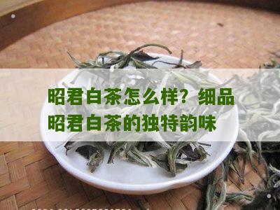 昭君白茶怎么样？细品昭君白茶的独特韵味