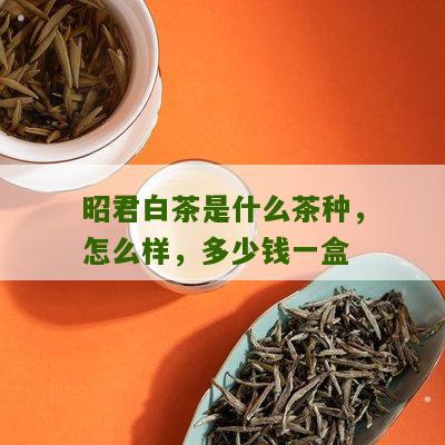 昭君白茶是什么茶种，怎么样，多少钱一盒