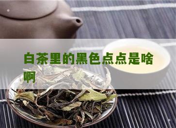 白茶里的黑色点点是啥啊