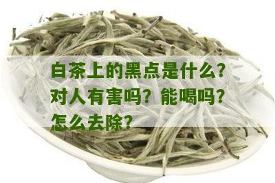 白茶上的黑点是什么？对人有害吗？能喝吗？怎么去除？