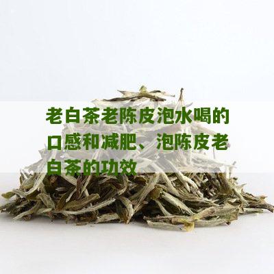 老白茶老陈皮泡水喝的口感和减肥、泡陈皮老白茶的功效