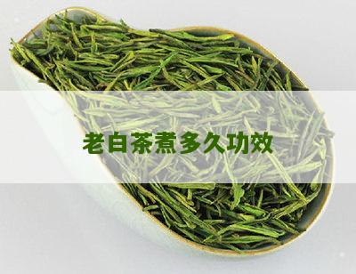 老白茶煮多久功效