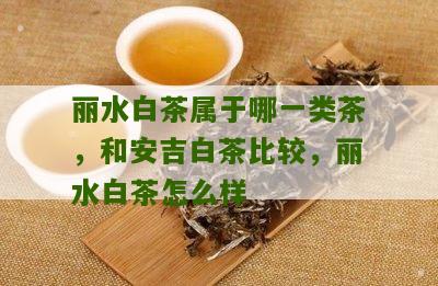 丽水白茶属于哪一类茶，和安吉白茶比较，丽水白茶怎么样