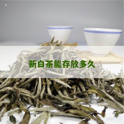 新白茶能存放多久