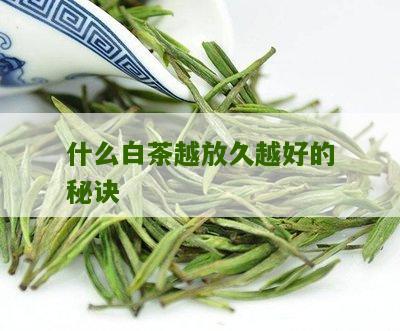 什么白茶越放久越好的秘诀