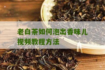 老白茶如何泡出香味儿视频教程方法