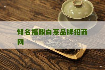 知名福鼎白茶品牌招商网