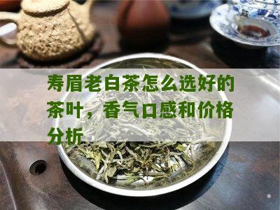 寿眉老白茶怎么选好的茶叶，香气口感和价格分析