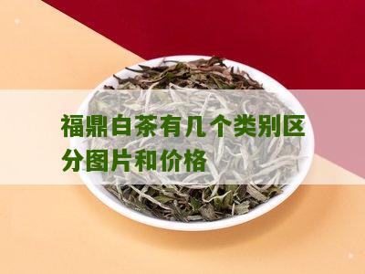 福鼎白茶有几个类别区分图片和价格