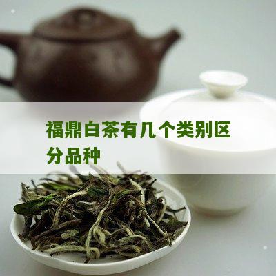 福鼎白茶有几个类别区分品种