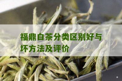 福鼎白茶分类区别好与坏方法及评价