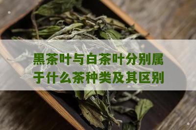 黑茶叶与白茶叶分别属于什么茶种类及其区别