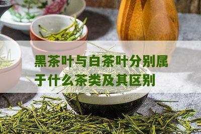 黑茶叶与白茶叶分别属于什么茶类及其区别