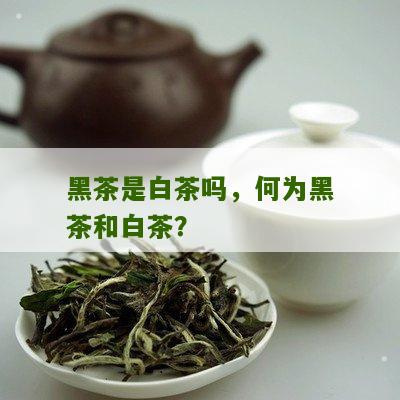 黑茶是白茶吗，何为黑茶和白茶？