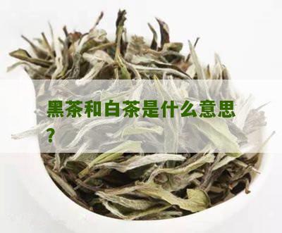 黑茶和白茶是什么意思？