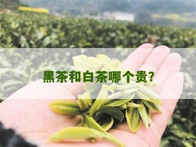 黑茶和白茶哪个贵？