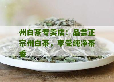 州白茶专卖店：品尝正宗州白茶，享受纯净茶香