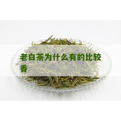 老白茶为什么有的比较香