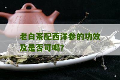 老白茶配西洋参的功效及是否可喝？