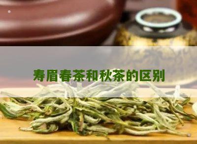 寿眉春茶和秋茶的区别