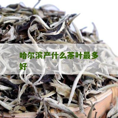 哈尔滨产什么茶叶最多好