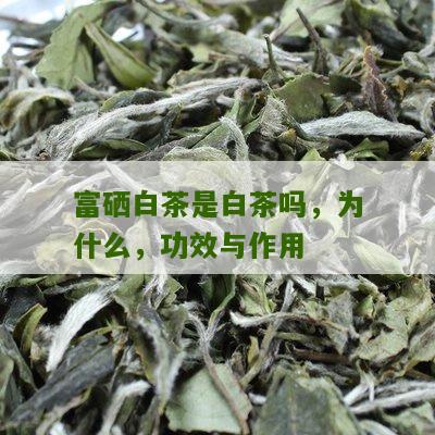 富硒白茶是白茶吗，为什么，功效与作用